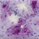 Purple Reign - 16-oz Mayco Jungle Gem Crystal Glaze Purple Reign - 16-oz Mayco Jungle Gem Crystal Glaze